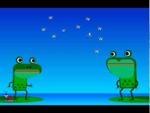 Funny Ecards Happy Birthday Singing Frogs Ecards Greeting E-cards