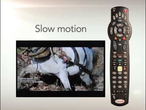What is the best option for tv cable