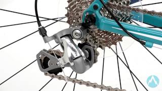 giant avail 2 2013