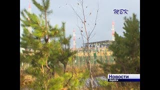В Бердске готовят положение о «Зеленом фонде»