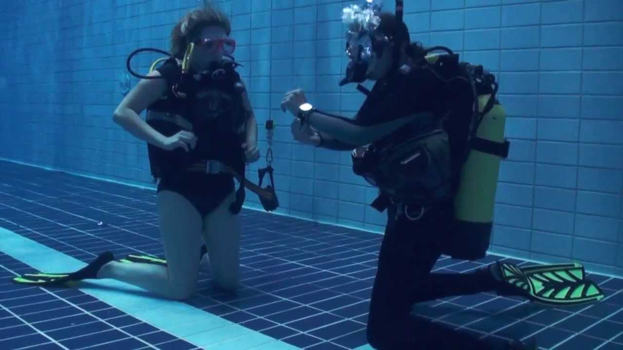 Divemaster Scuba at Ponds Diving Fun YouTube