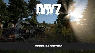 DayZ Standalone - Первый взгляд