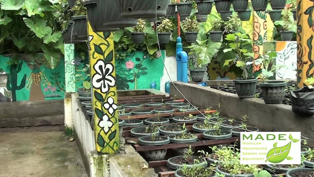 MADE Growing Systems Aquaponics Philippines, September 2012 Update ...