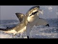 un velero llamado libertad Jose Luis Perales......MARINEROS ESPADEROS
