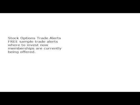 weekly options trade alerts