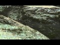 The North Face® Ultra-Trail du Mont-Blanc® - Running through the nature