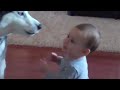 Bimbo parla con il suo cane, incredibile!!!