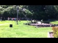 VisalusFlash Mob April,21,2012 Neosho,Mo. Thumbnail