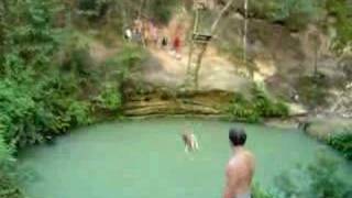 Sinkholes Florida on On Rope Swing At Devil S Hole  Near Gainesville Florida   Youtube