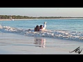 Mexico Wedding - Did they trash the dress? - Grand Palladium Riviera Beach -  YouTube