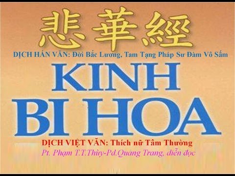 Kinh Bi Hoa (Đọc)