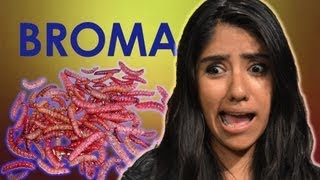 KAREN COME GUSANOS VIVOS | Videos de risa 2013 | Bromas a mujeres | Bromas pesadas