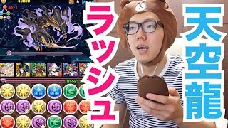 【パズドラ】天空龍ラッシュ！にサクヤ×ホルスで挑む！【ヒカキンゲームズ】