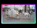 الحوفى ليموزين-سيارة الزفة-القاهرة-6