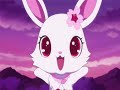 Jewel pet kira deco Pink and Ruby-Beauty and a beat