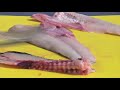 How to clean Large Mouth Bass by Captain Vincent Russo