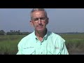 How to clean Large Mouth Bass by Captain Vincent Russo