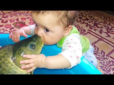 BEST FUNNY BABIES MEET FISH FOR THE FIRST TIME | Funny Babies And Animals Videos Compilation