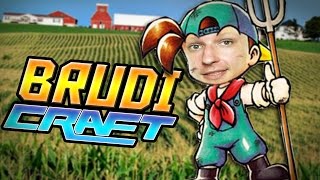 DAS FELD WIRD BESAMT. - Brudicraft #2 | Ardymon