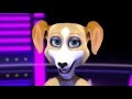Assur O'Poil - mutuelle animaux - QUI VEUT GAGNER DES MILLIONS DE CROQUETTES épisode 1