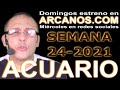 Video Horscopo Semanal ACUARIO  del 6 al 12 Junio 2021 (Semana 2021-24) (Lectura del Tarot)
