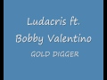 Ludacris – Gold Digger Lyrics