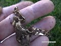 Fisher F2: Gold Pays For Detector In One Day!