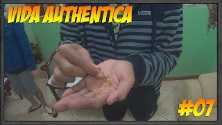 Vida Authentica #07 - Desafio do Peixe e Encontro de Inscritos !!