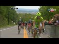 Peter Sagan -Best Of 2013 (Forest Gump) Il PHENOMENO !!!!