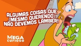 Algumas coisas que (mesmo querendo) não devemos lamber!