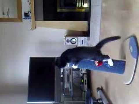 mini rc helicopters youtube
on Mini battle helicopter versus the cat - YouTube