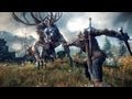 Первый геймплейный ролик The Witcher 3: Wild Hunt