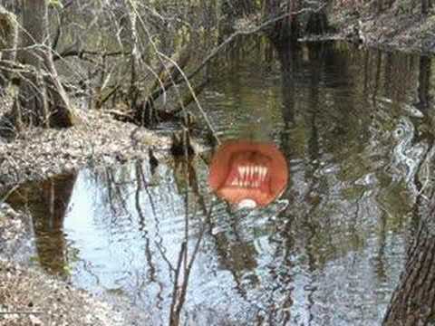 Unexplained Swamp Monster Sighting - YouTube