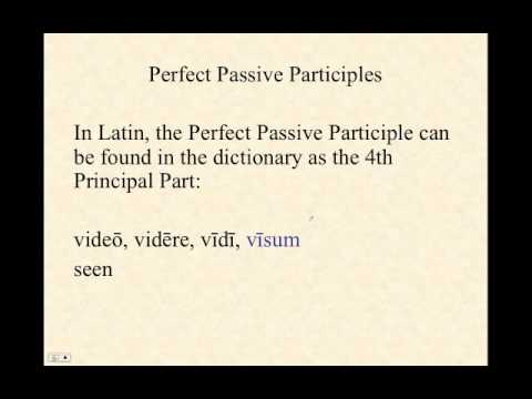 latin endings practice