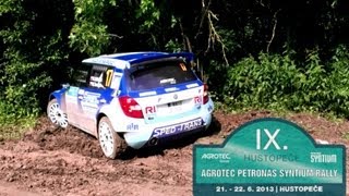 Agrotec Rally Hustopeče 2013 action & crash