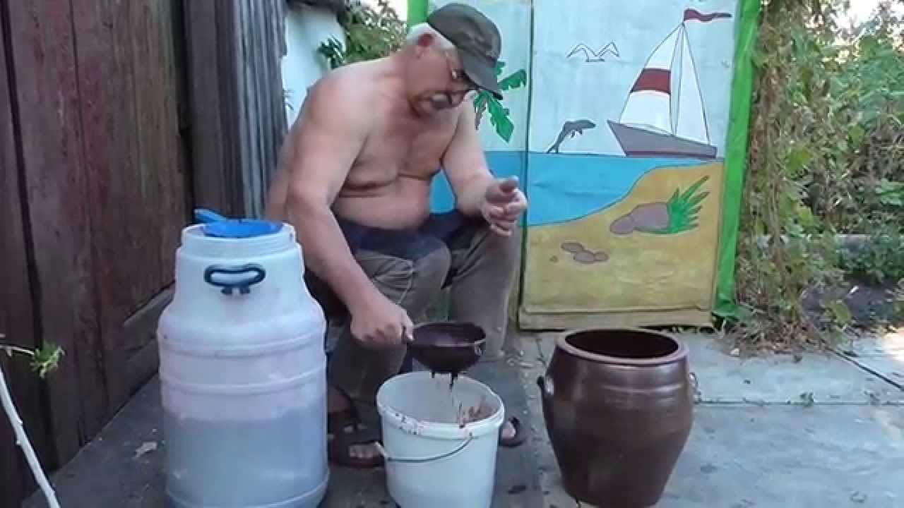 Сделать вино из изабеллы в домашних условиях 414