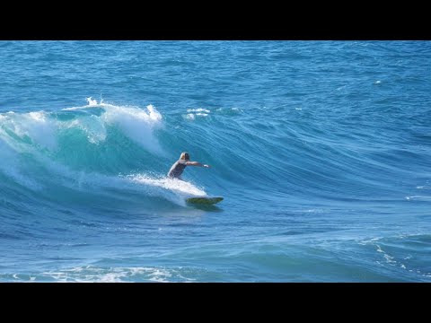 I flew 3,500 miles to SURF this WAVE!?