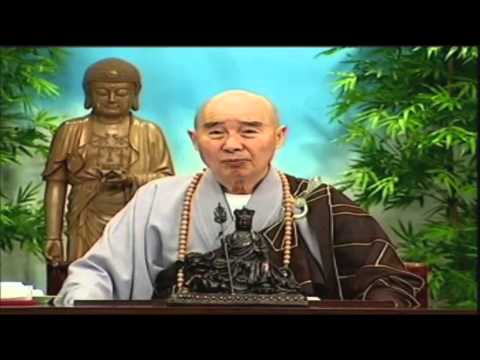 Kinh Vô Lượng Thọ (Giảng Lần Thứ 10, 1998) (Tập 171 Và 172)