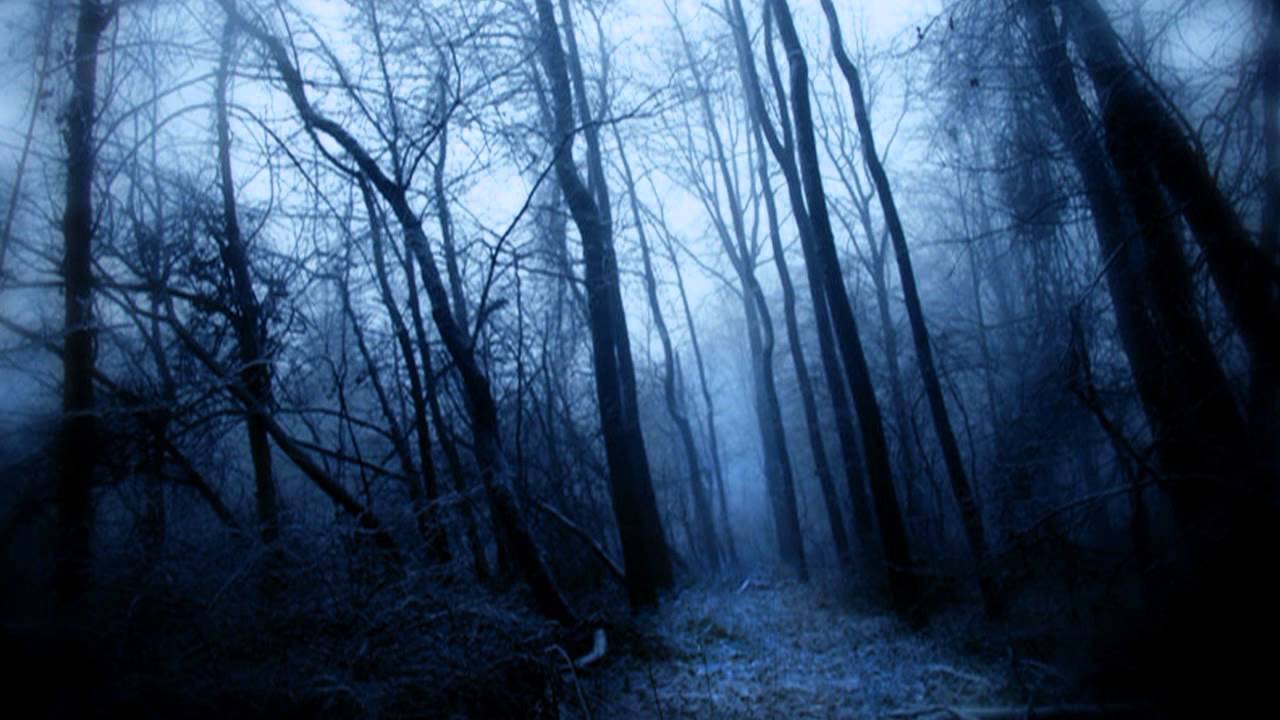 Nacht - I (journey into the unknown and eerie dark forest) - YouTube