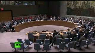 Прямая трансляция заседания Совбеза ООН по Украине