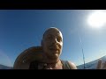 рыбалка на акулу молот видео рыбалка на акулу молот видео