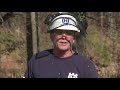 Chainsaw Training - How to Fell a Tree