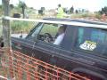 jeep thau nature