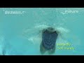 Butterfly - Soft Hands
