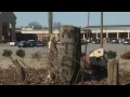EXCLUSIVE: Franklin Residents Upset About Tree Chopping - John Dunn