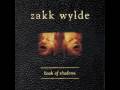 Zakk Wylde - Road Back Home - Youtube