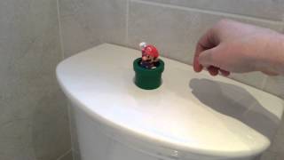 Mario Flush