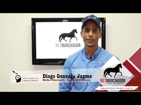 #1 - CONTA GOTAS DO CONHECIMENTO - DIOGO GONZAGA JAYME - MANGALARGA MARCHADOR
