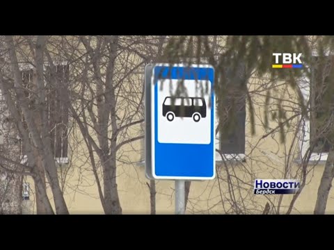 Пособия, продление «дачной амнистии» и Дети-безбилетники. Что изменится с 1 марта в жизни россиян?