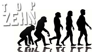 10 komische Fakten über die Evolution